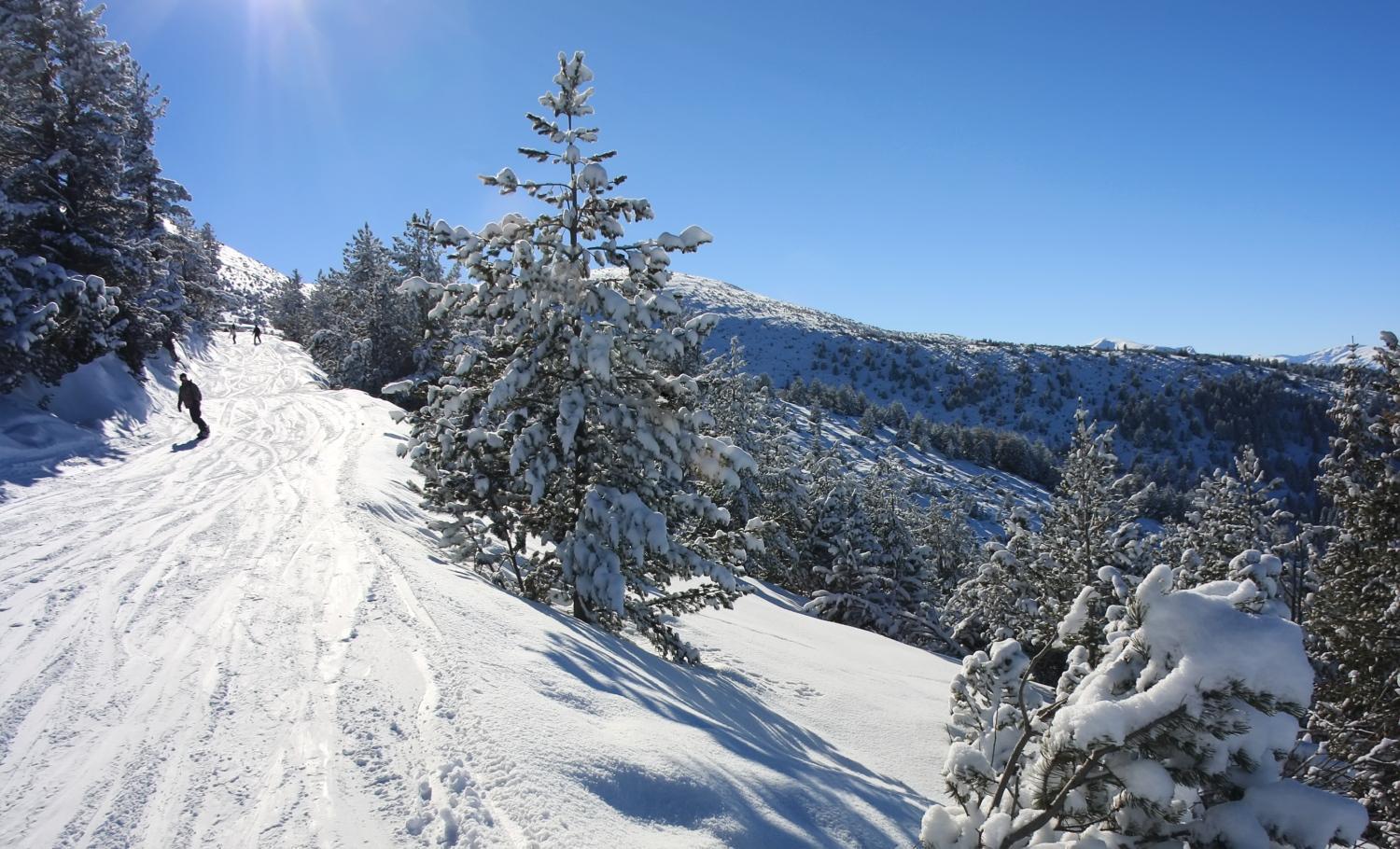 Borovets Gardens Apartments Buitenkant foto